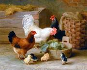 unknow artist Cocks 140 Germany oil painting artist